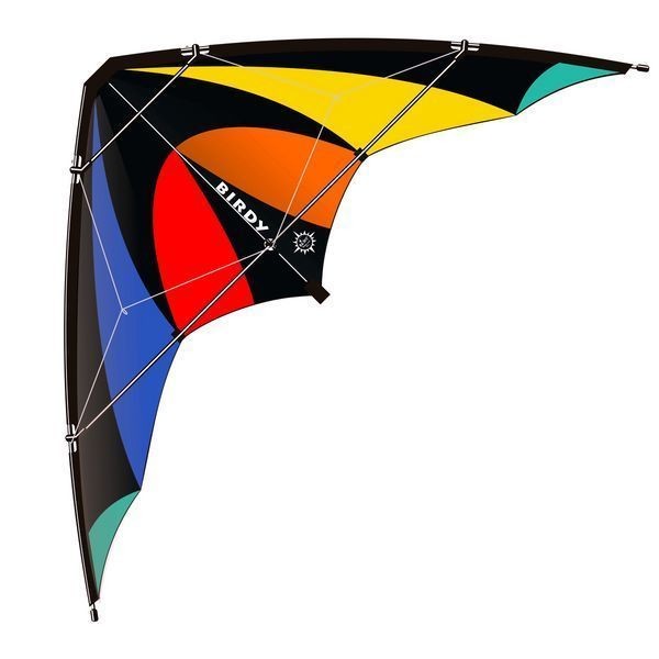 Elliot Birdy - Zweileiner-Lenkdrachen/Stabdrachen (2-Leiner), rtf (flugfertig), 135 cm x 64 cm, Cfk-